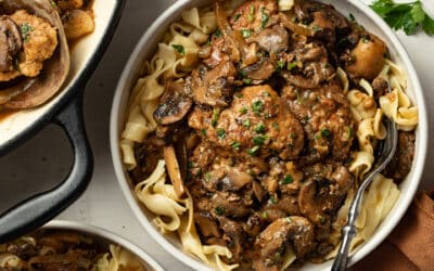 Easy Pork Stroganoff